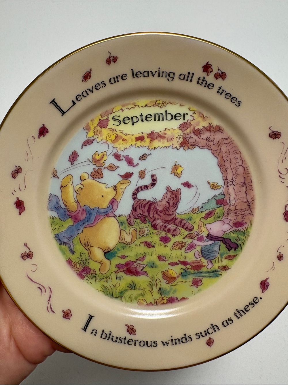 Disney Classic Winnie the Pooh Plate